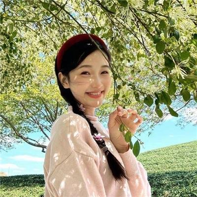 从前有个新凯旋门